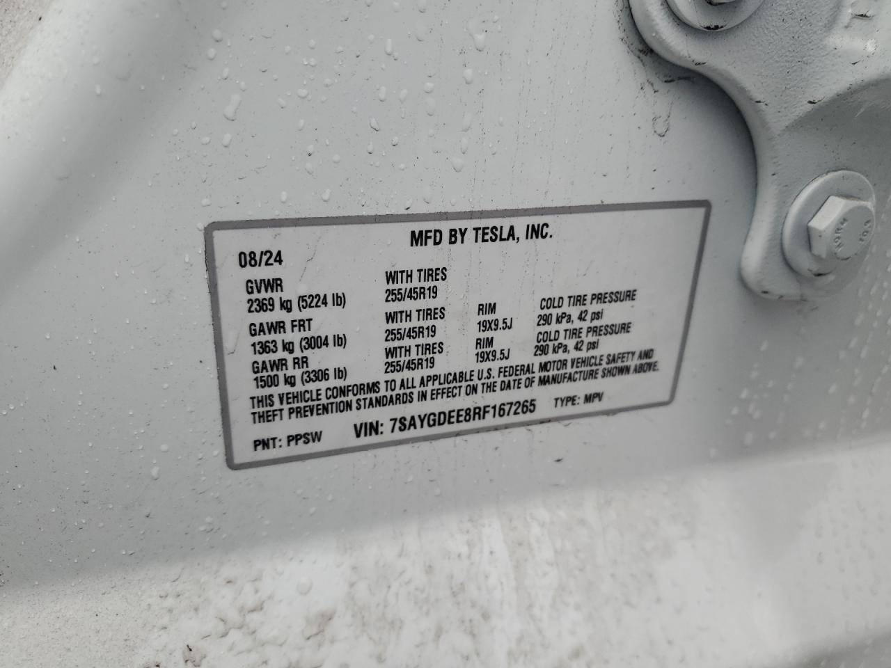 2024 TESLA MODEL Y  VIN:7SAYGDEE8RF167265