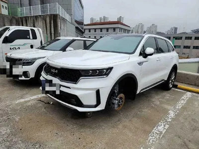 2023 Kia Sorento KNARF81BHPA198142 VIN:KNARF81BHPA198142