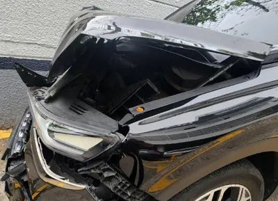 2019 Hyundai Santa FE KMHS381BBKU103988 VIN:KMHS381BBKU103988