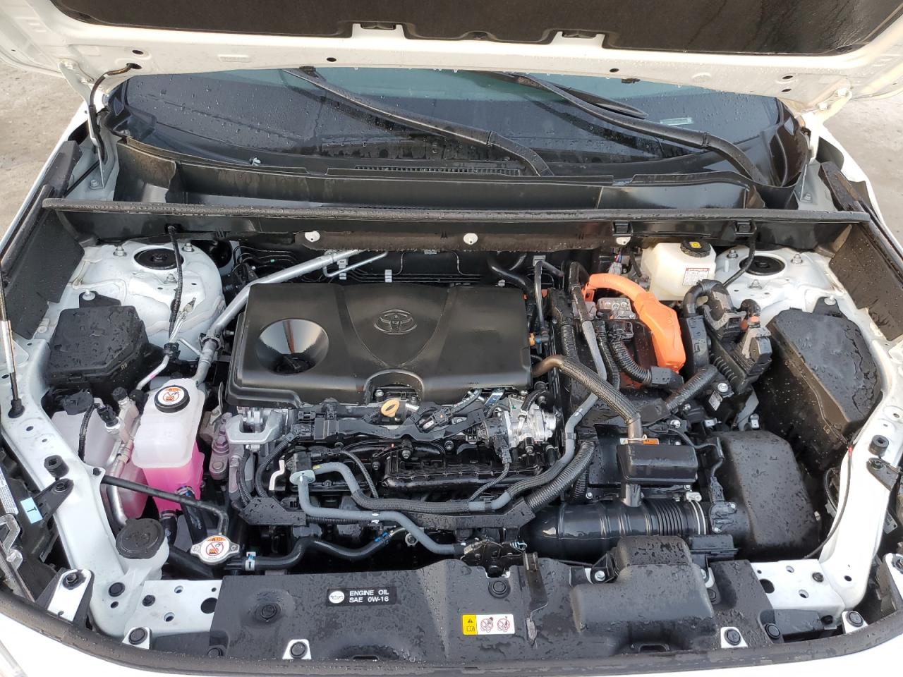 2024 TOYOTA RAV4 XLE VIN:4T3RWRFV3RU131302