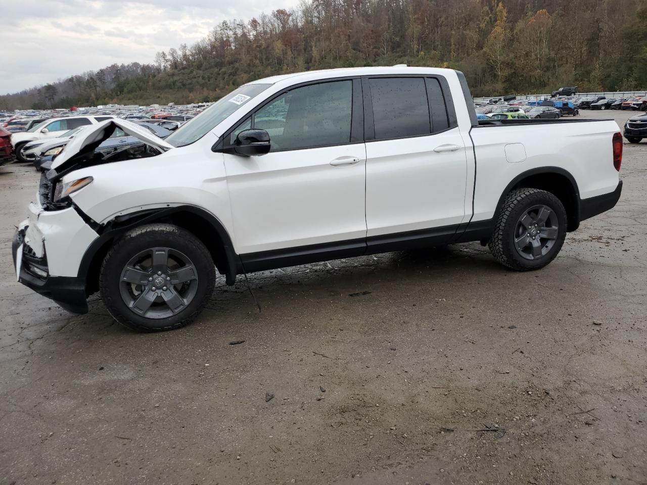 2024 HONDA RIDGELINE TRAIL SPORT VIN:5FPYK3F65RB023614