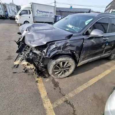 2020 Hyundai Santa FE KMHS281BDLU248364 VIN:KMHS281BDLU248364