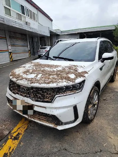 2021 Kia Sorento VIN: