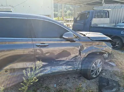 2019 Hyundai Santa FE KMHS281CBKU142045 VIN:KMHS281CBKU142045