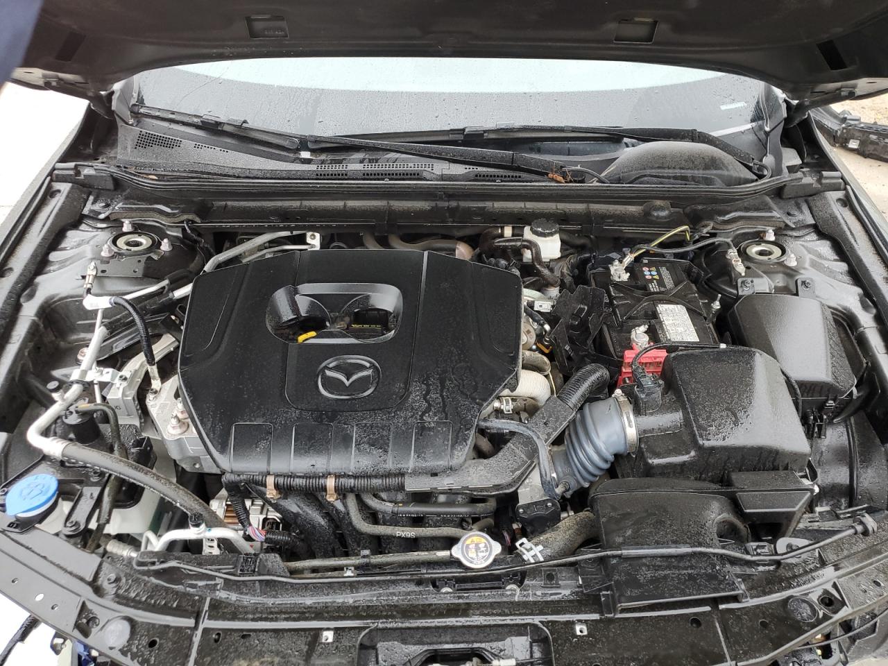 2023 MAZDA 3 PREMIUM VIN:3MZBPBDM4PM353133