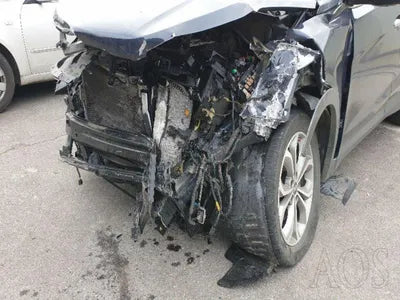 2015 Hyundai Santa FE KMHSW81XDFU418422 VIN:KMHSW81XDFU418422