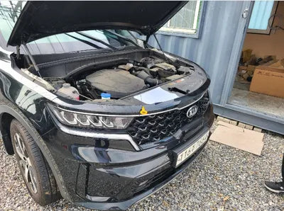 2021 Kia Sorento KNARL81BGMA067124 VIN:KNARL81BGMA067124