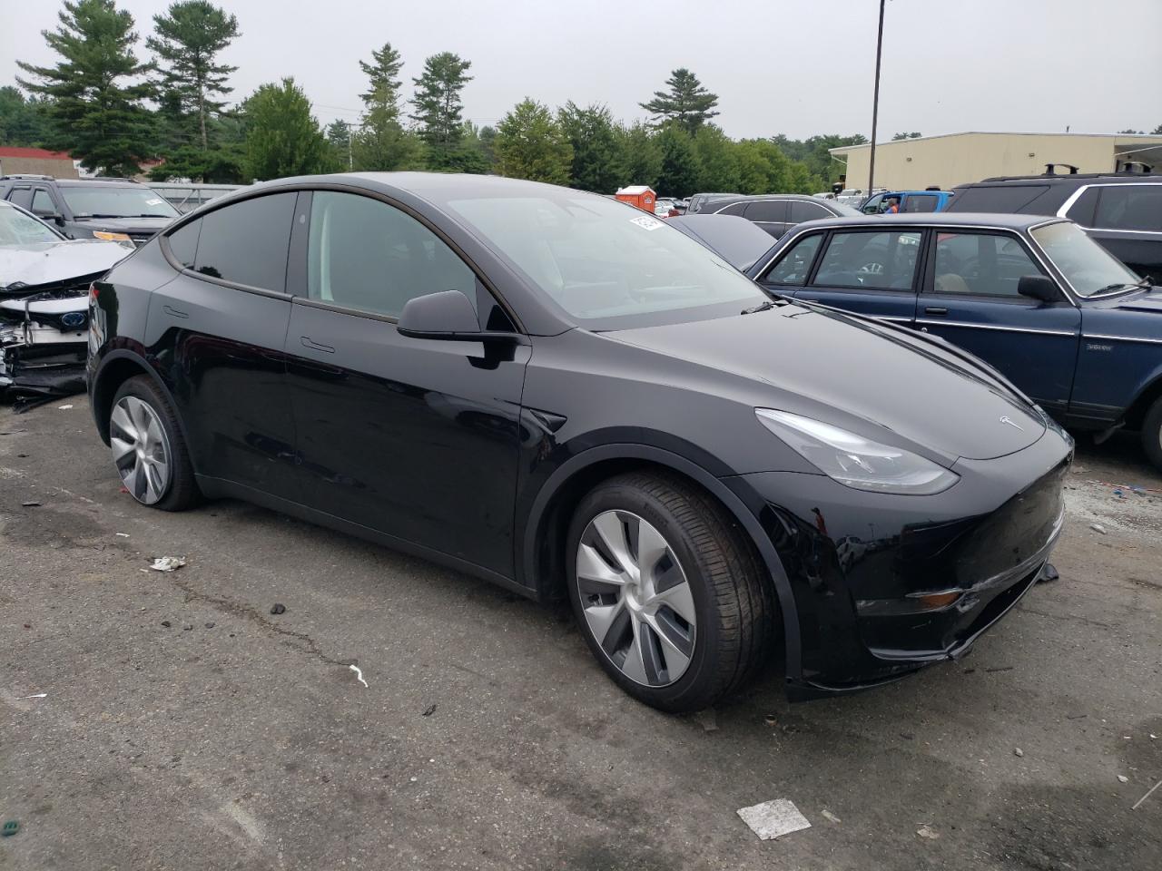 2023 TESLA MODEL Y  VIN:7SAYGDEE2PA184024