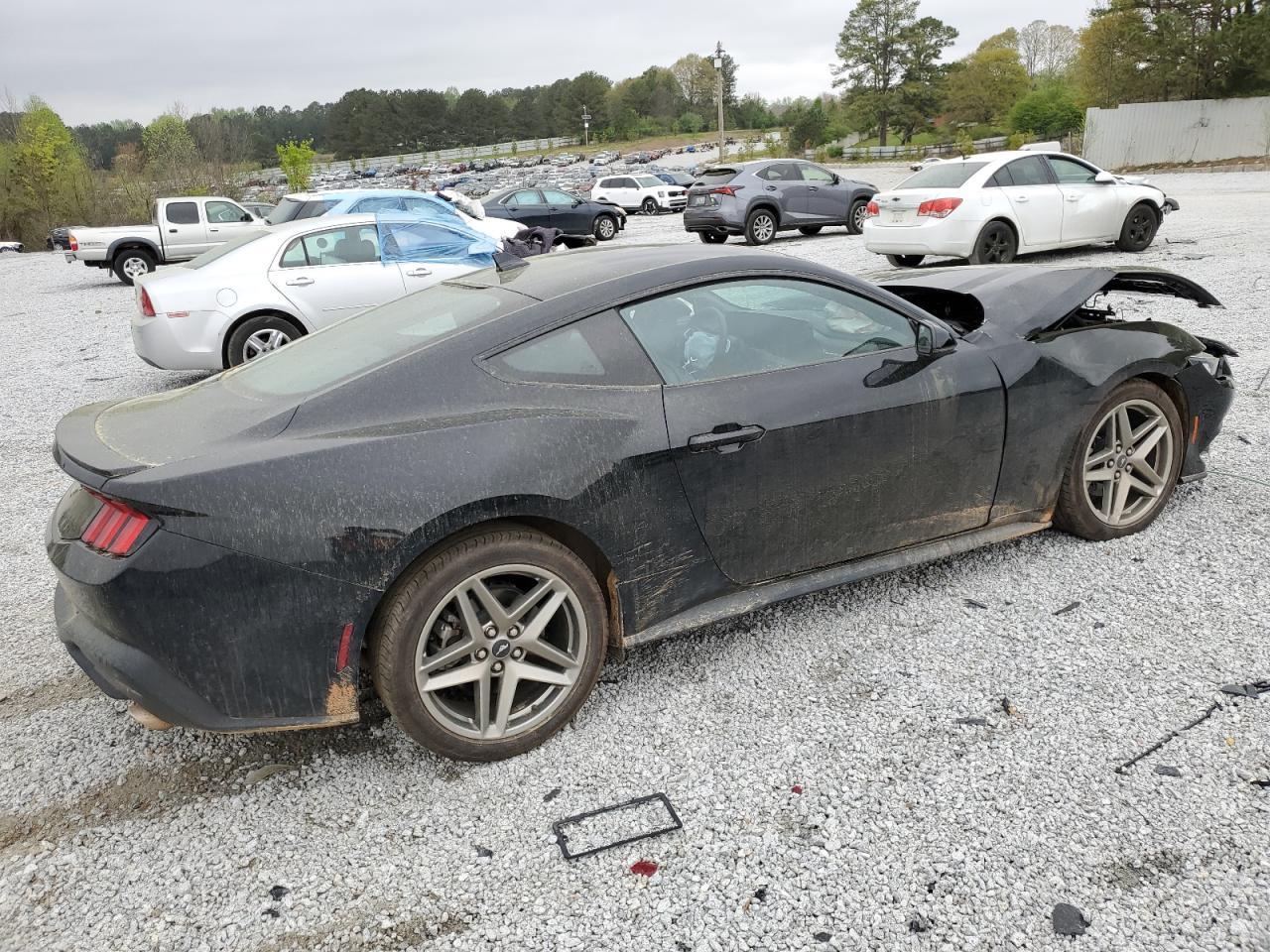 2024 FORD MUSTANG  VIN:1FA6P8TH8R5118552