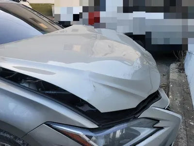 2019 Lexus ES 300 VIN:
