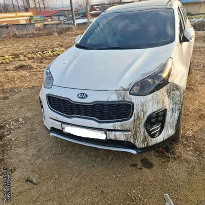 2016 Kia Sportage 423KMKNAPR813BGK0 VIN:423KMKNAPR813BGK0