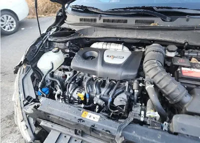 2019 Hyundai Kona KMHK4815GKU356777 VIN:KMHK4815GKU356777
