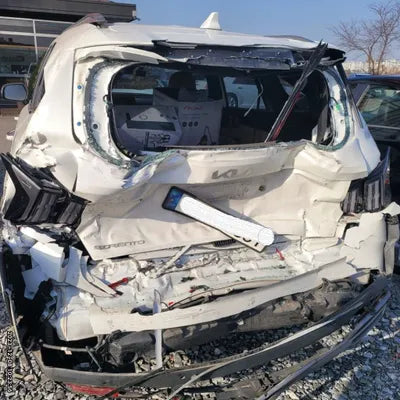 2023 Kia Sorento KNARH81FGPA185808 VIN:KNARH81FGPA185808