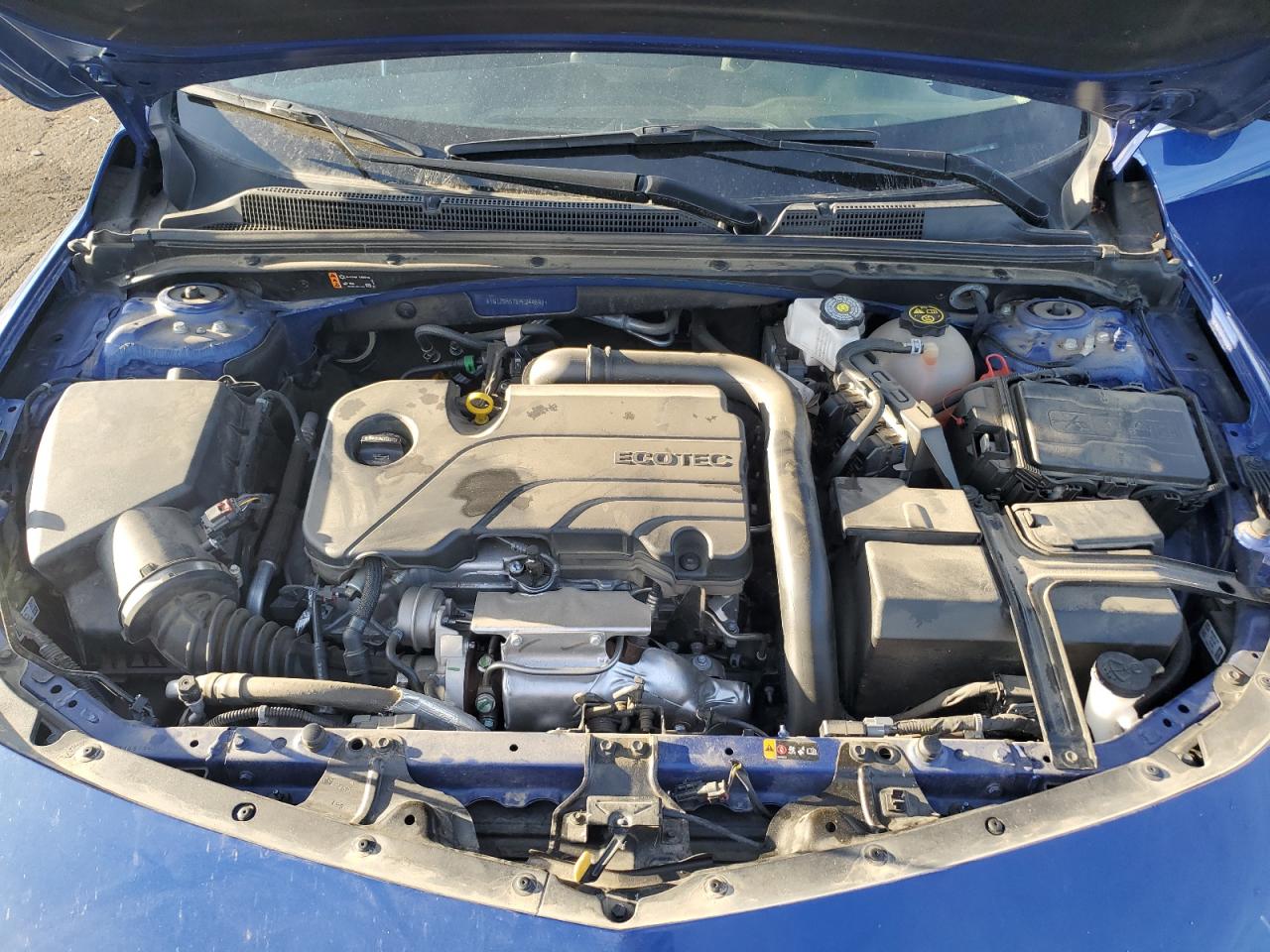 2023 CHEVROLET MALIBU LS VIN:1G1ZB5ST6PF244693