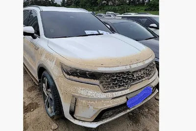 2022 Kia Sorento KNARM81GBNA071675 VIN:KNARM81GBNA071675