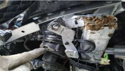 2020 Mercedes-Benz E 300 VIN: