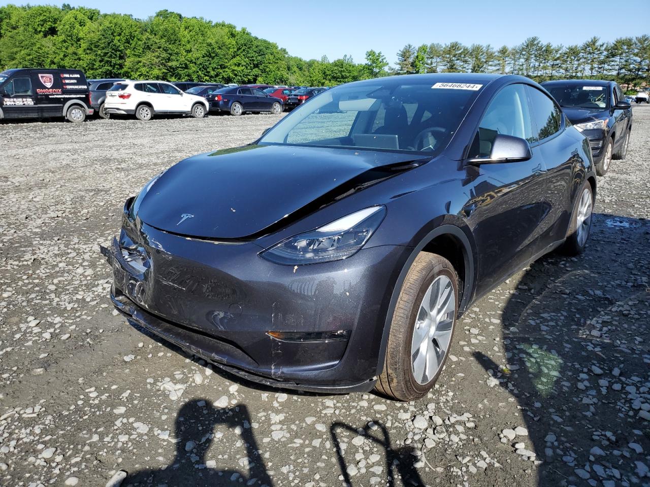 2024 TESLA MODEL Y  VIN:7SAYGDEE2RA283588