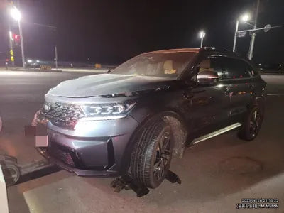 2021 Kia Sorento KNARL81GBMA047281 VIN:KNARL81GBMA047281