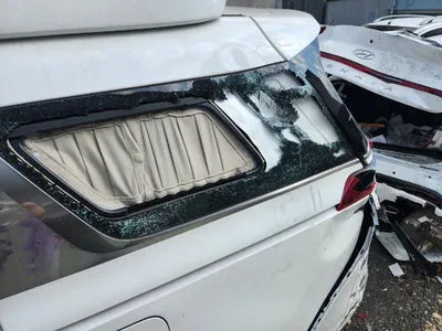 2022 Kia Carnival KNANE81BBPS240956 VIN:KNANE81BBPS240956