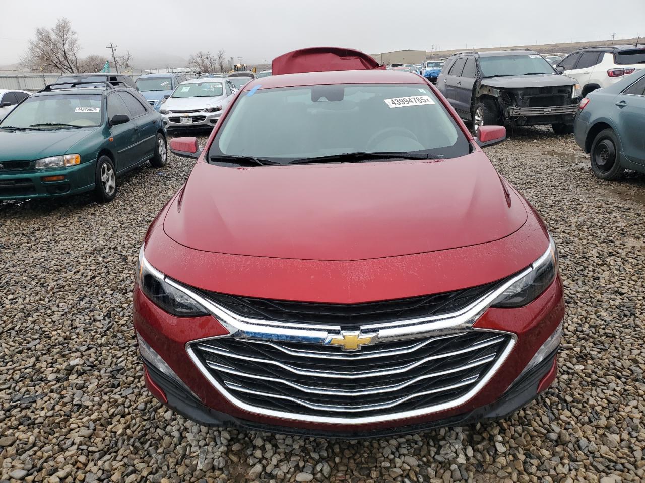 2023 CHEVROLET MALIBU LT VIN:1G1ZD5ST0PF211442