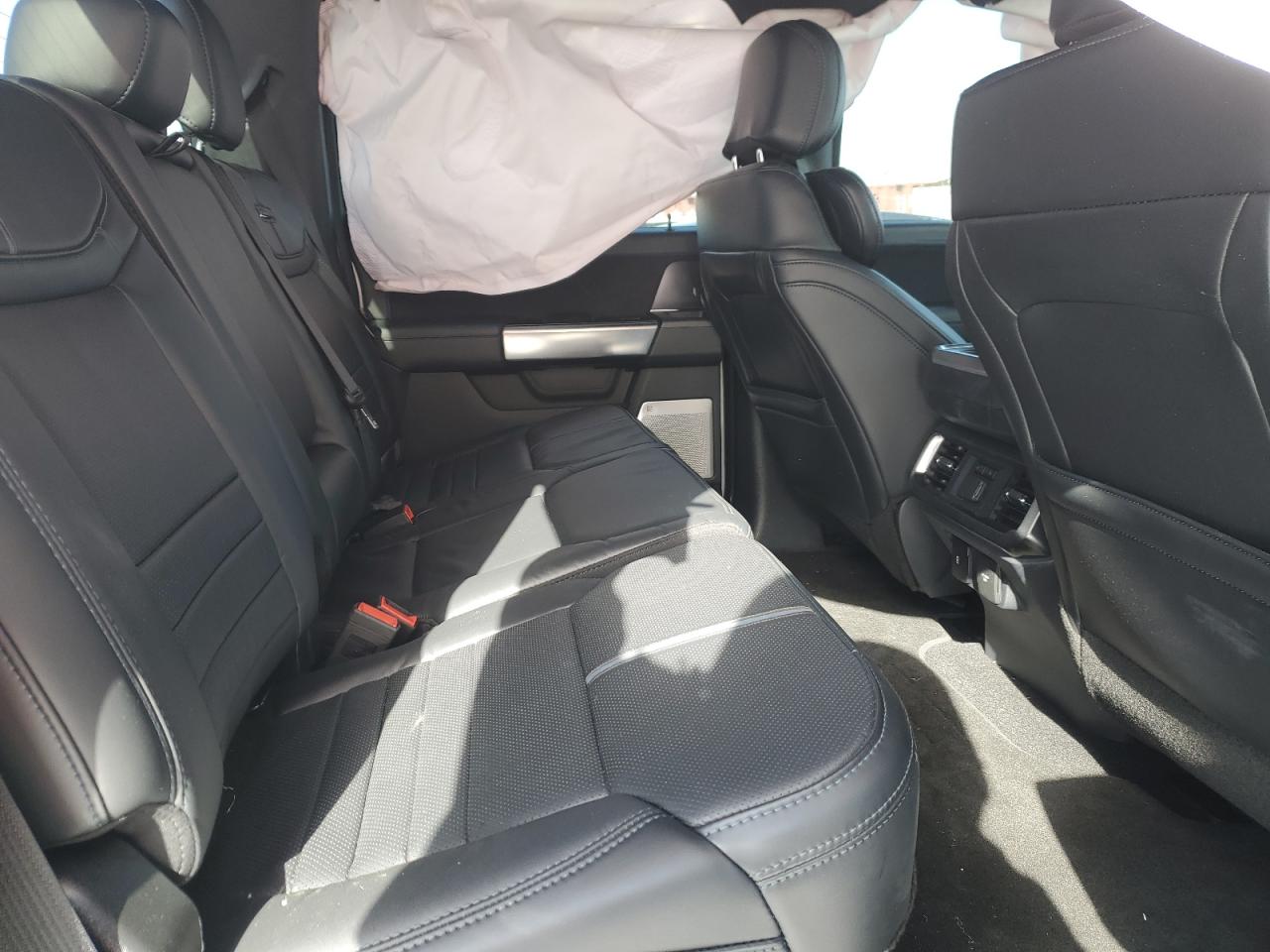 2024 FORD F150 PLATINUM VIN:1FTFW7L80RFA22609