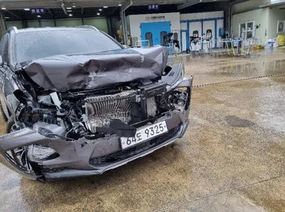 2019 Hyundai Santa FE KMHS381CBKU124651 VIN:KMHS381CBKU124651