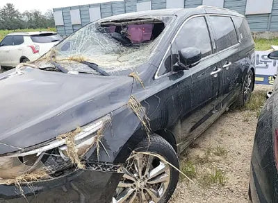 2017 Kia Carnival KNAMC81ABHS281610 VIN:KNAMC81ABHS281610