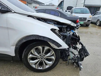 2015 Hyundai Santa FE KMHSW81UBFU302574 VIN:KMHSW81UBFU302574