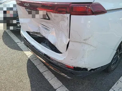 2022 Kia Carnival KNANE81BBNS166263 VIN:KNANE81BBNS166263