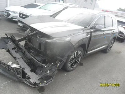 2019 Hyundai Santa FE KMHS381ABKU176405 VIN:KMHS381ABKU176405