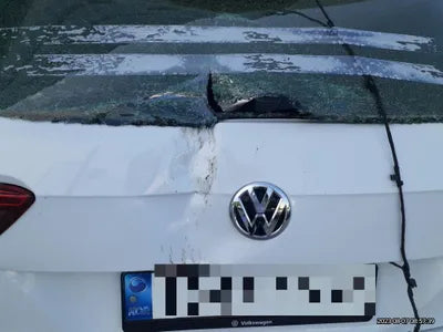 2020 Volkswagen Tiguan WVGZZZ5NZLW909219 VIN:WVGZZZ5NZLW909219