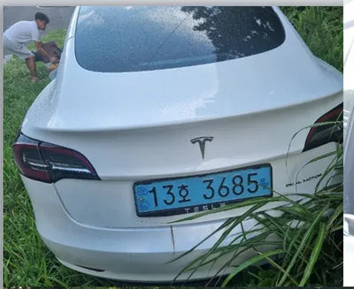 2021 Tesla Model 3 5YJ3E1EB4MF947516 VIN:5YJ3E1EB4MF947516