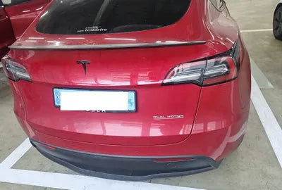 2021 Tesla Model Y 5YJYGDEF7MF227826 VIN:5YJYGDEF7MF227826