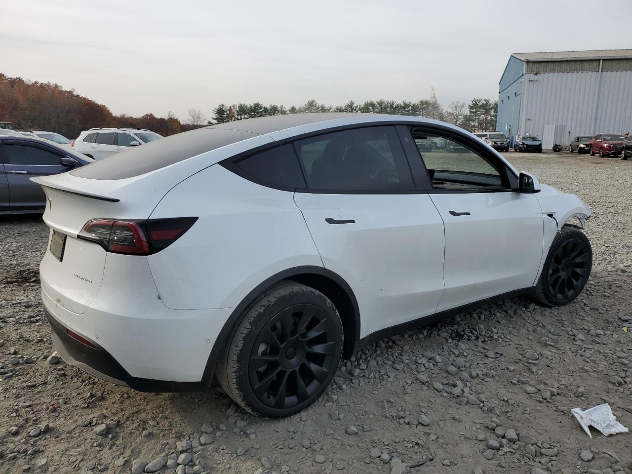 2022 TESLA MODEL Y  VIN:7SAYGDEE8NA010522