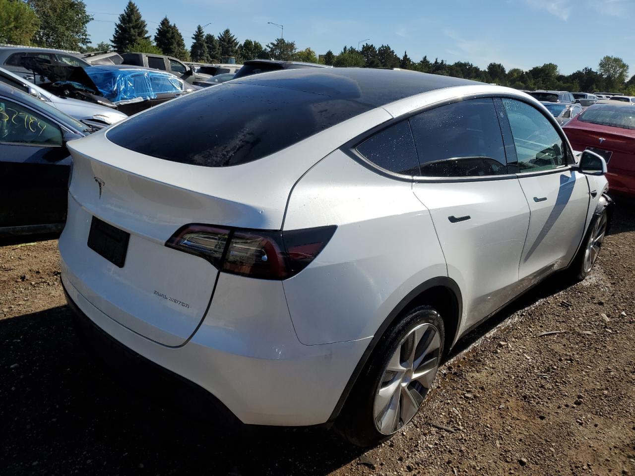 2023 TESLA MODEL Y  VIN:7SAYGAEE5PF701270