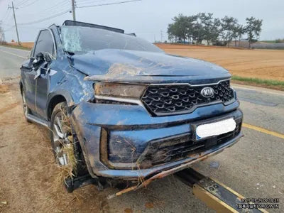 2021 Kia Sorento KNARK81BGMA015419 VIN:KNARK81BGMA015419