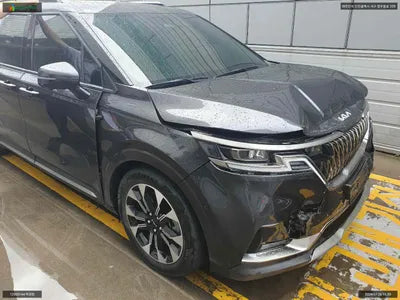 2021 Kia Carnival KNANE813BNS144094 VIN:KNANE813BNS144094