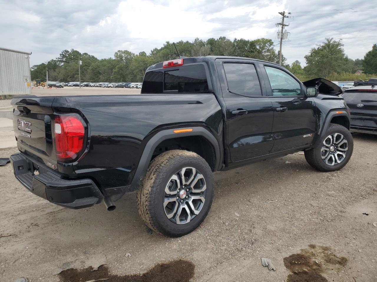 2024 GMC CANYON AT4 VIN:1GTP6DEK3R1219220