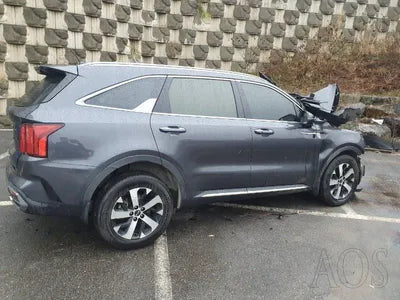 2021 Kia Sorento KNARL81BGMA097542 VIN:KNARL81BGMA097542