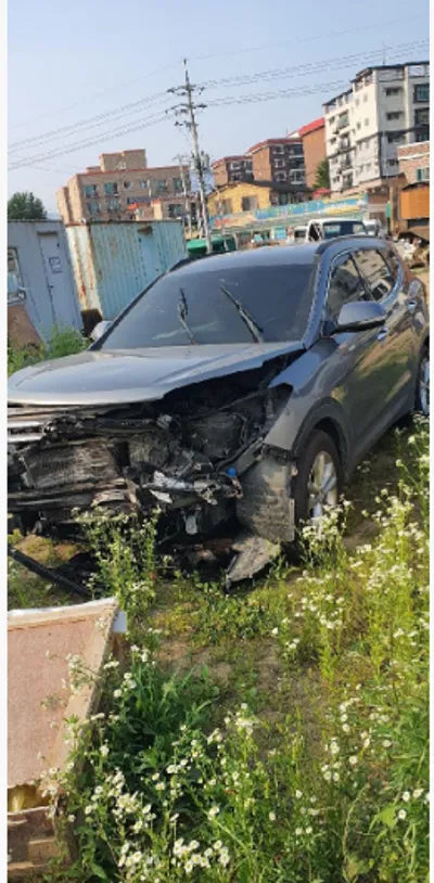 2017 Hyundai Santa FE 787KMKMHSW81UDHU7 VIN:787KMKMHSW81UDHU7