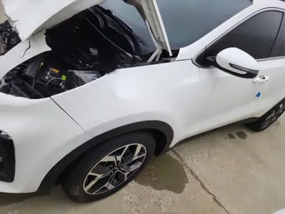 2019 Kia Sportage KNAPN813BKK670181 VIN:KNAPN813BKK670181