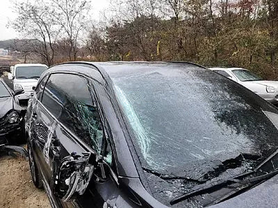 2022 Kia Sorento KNARH81GBNA101047 VIN:KNARH81GBNA101047