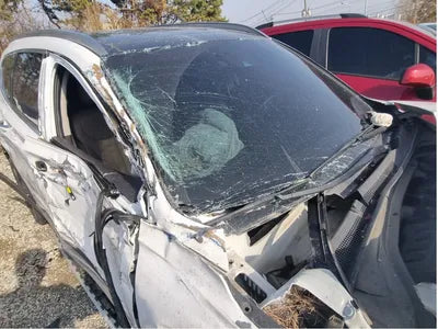 2020 Hyundai Santa FE KMHS381ADLU216986 VIN:KMHS381ADLU216986