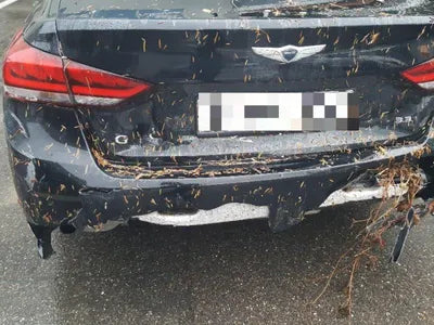 2020 Genesis G80 VIN: