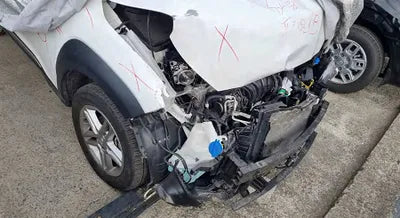 2021 Hyundai Kona KMHK381BEMU769832 VIN:KMHK381BEMU769832