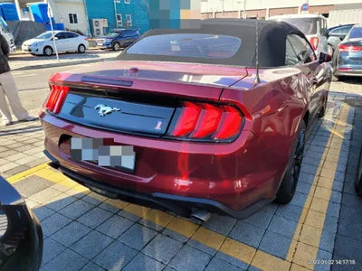 2019 Ford Mustang 1FATP8UH3K5196891 VIN:1FATP8UH3K5196891