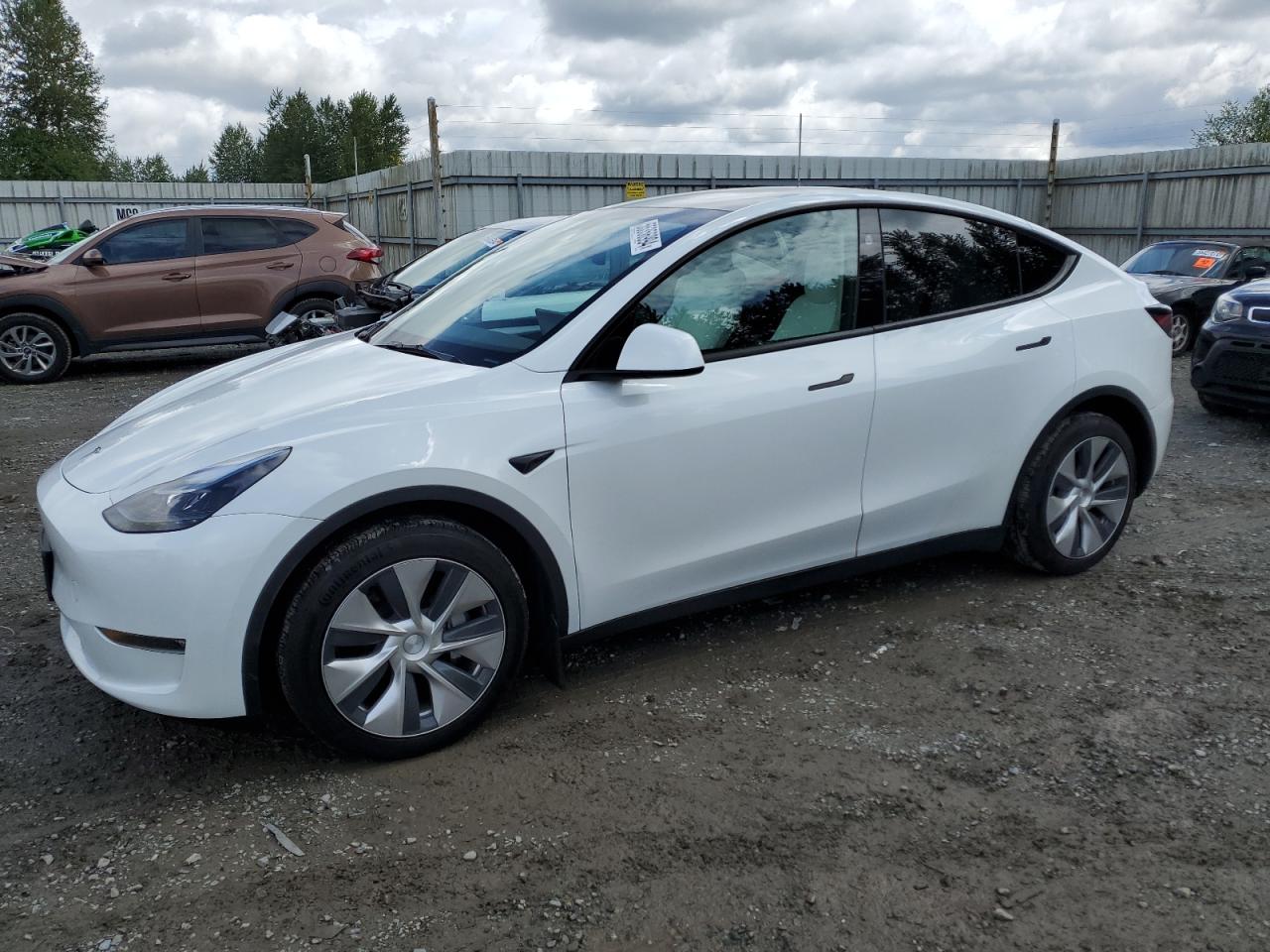 2023 TESLA MODEL Y  VIN:7SAYGAEE2PF827005