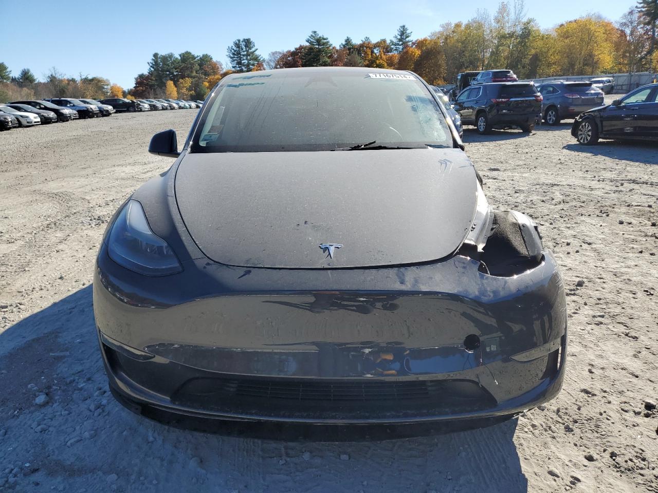 2024 TESLA MODEL Y  VIN:7SAYGDED2RF018759