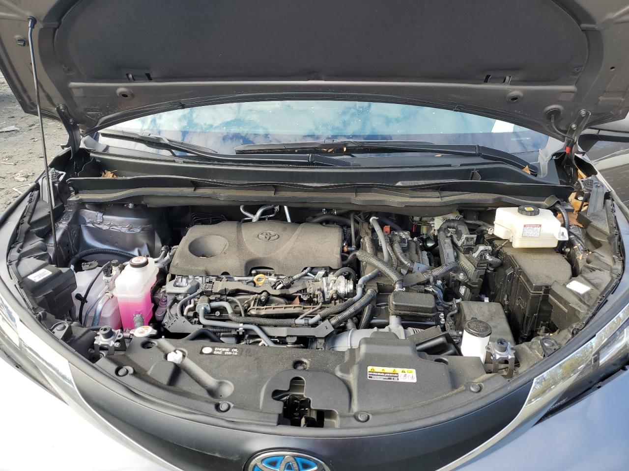 2023 TOYOTA SIENNA XLE VIN:5TDYRKEC1PS141030