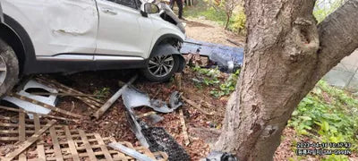 2020 Hyundai Santa FE KMHS281BBLU202722 VIN:KMHS281BBLU202722